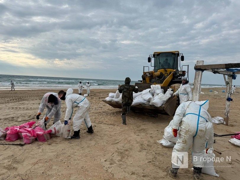 Нижегородка рассказала о ликвидации последствий экологической катастрофы в Анапе - фото 1