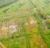 Ход строительства дома 1,2 в ЖК Прелесно -