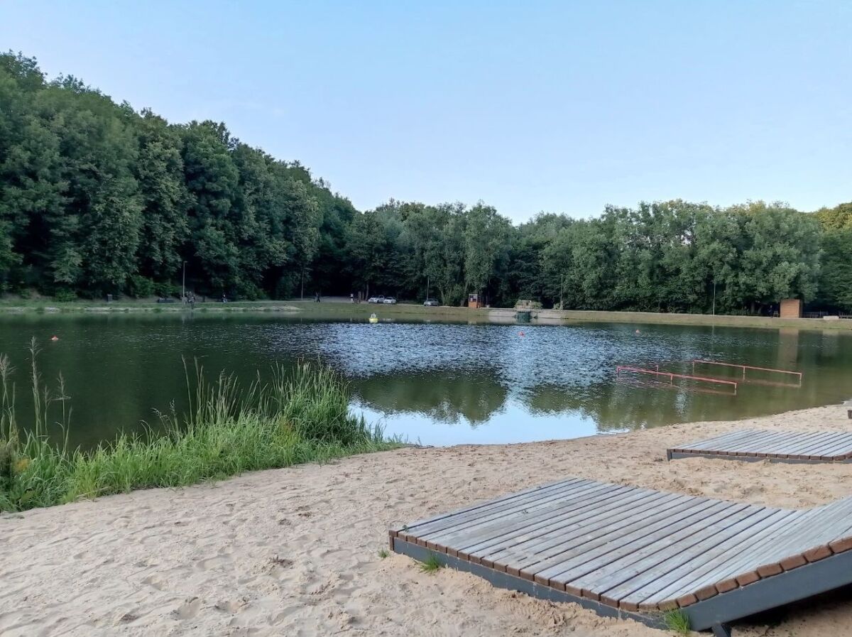 Власти Арзамаса получили пляж у профилактория для благоустройства  - фото 1