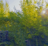 Ход строительства дома 1 в ЖК На Узорной -