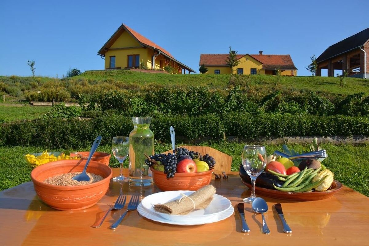 Первый на Дону глэмпинг при молочной ферме открылся в Сальском районе - фото 1