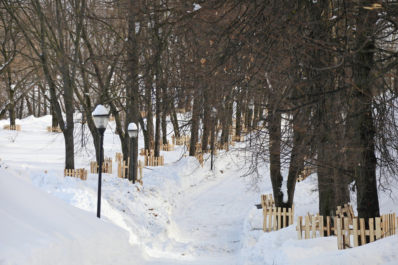 Дополнительные спортплощадки и туалеты  оборудуют в Александровском саду в Нижнем Новгороде - фото 1