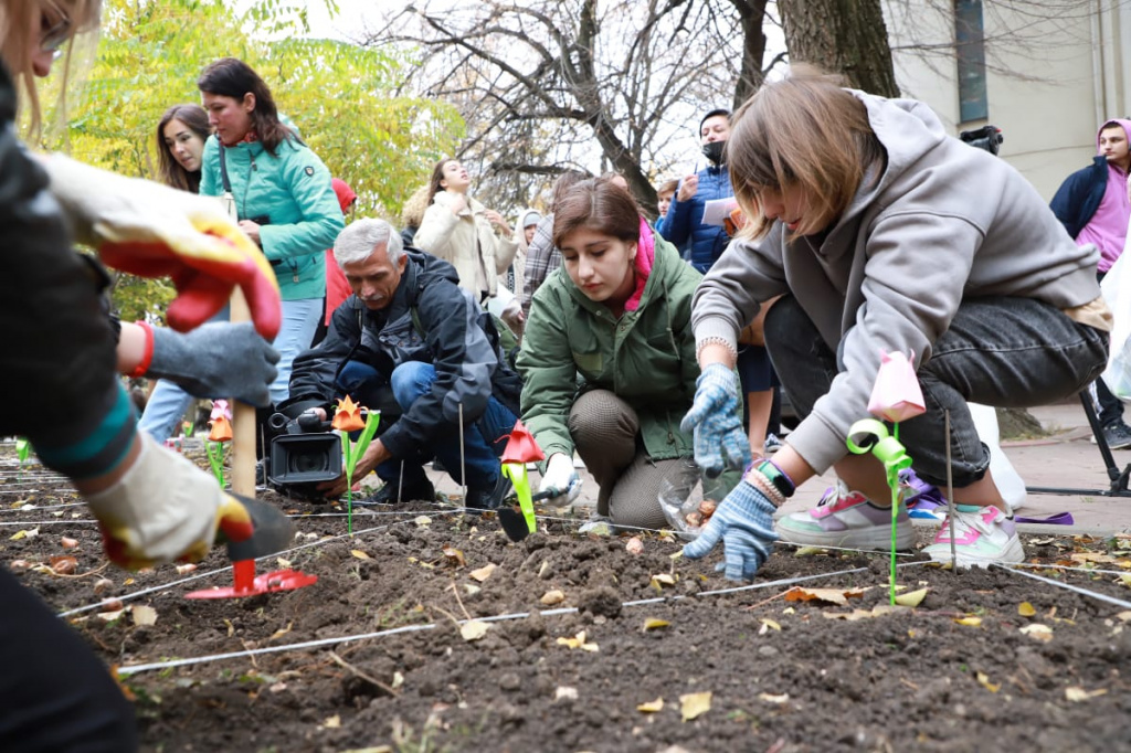 До конца осени в 2021 году в Ростове высадят более 100 тыс. тюльпанов - фото 1