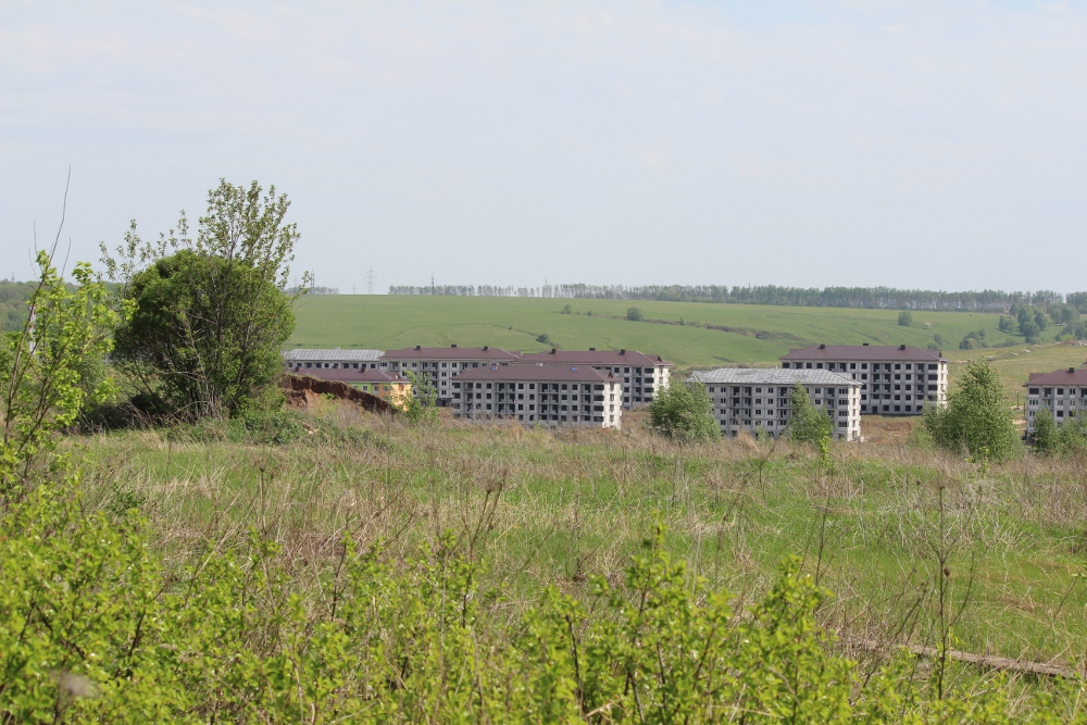 Поселок Новинки присоединят к Нижнему Новгороду