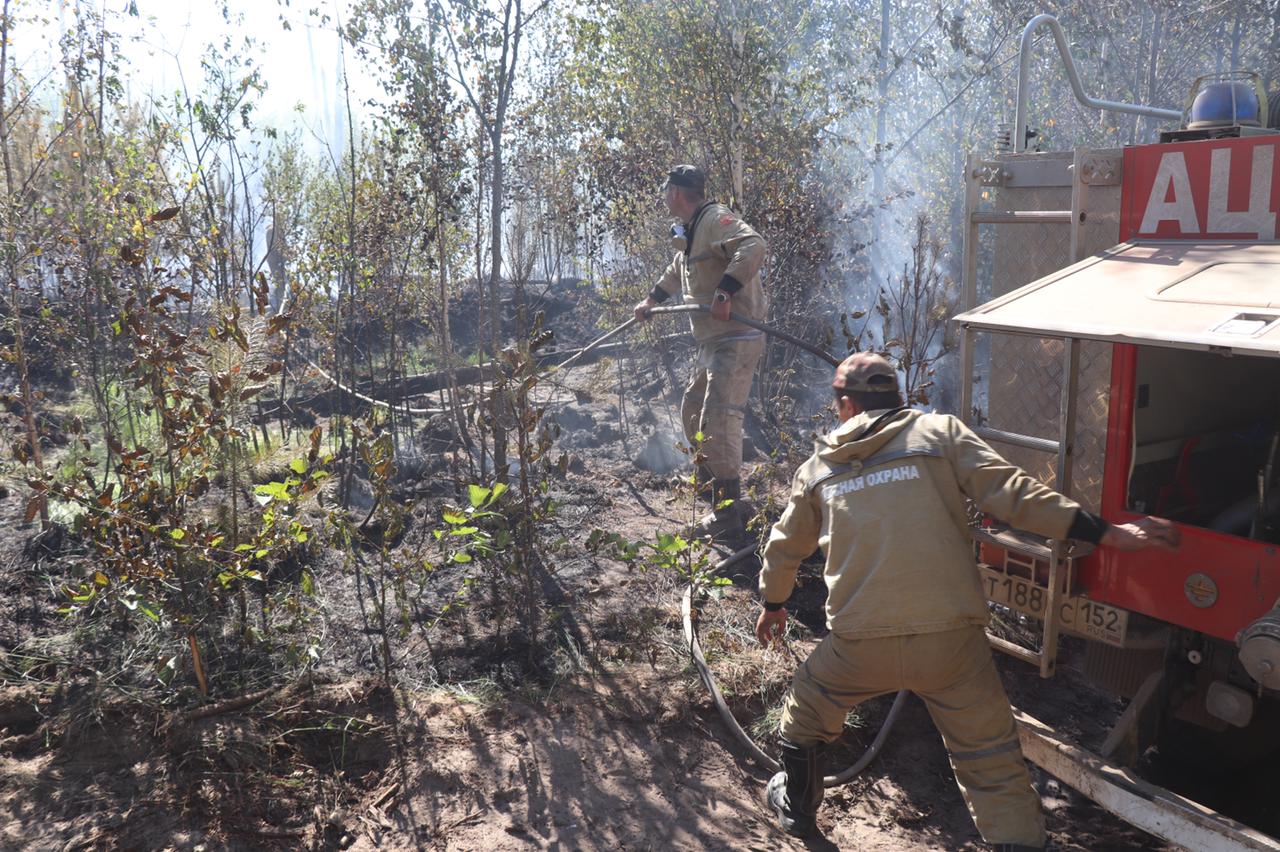 Пожарные-десантники из Иркутска помогут тушить пожар в Воротынском районе