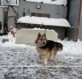 Ход строительства дома 1.13, секция 1Г в ЖК Федерация -