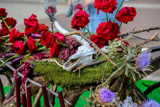 Воронежцев научат создавать шедевры из экопряжи и разводить гортензию