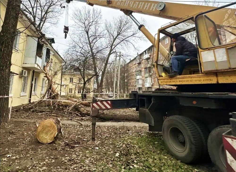 В Ростове упавшее от ветра дерево повредило балконы и крышу дома - фото 1