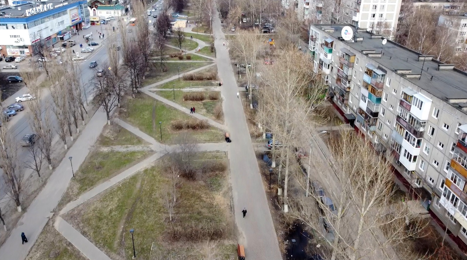 Почти 700 деревьев и кустарников будут высажены на улице Дьяконова в Нижнем Новгороде - фото 1