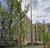 Ход строительства дома 7, корпус 1 Царевна-лягушка в ЖК Любоград -