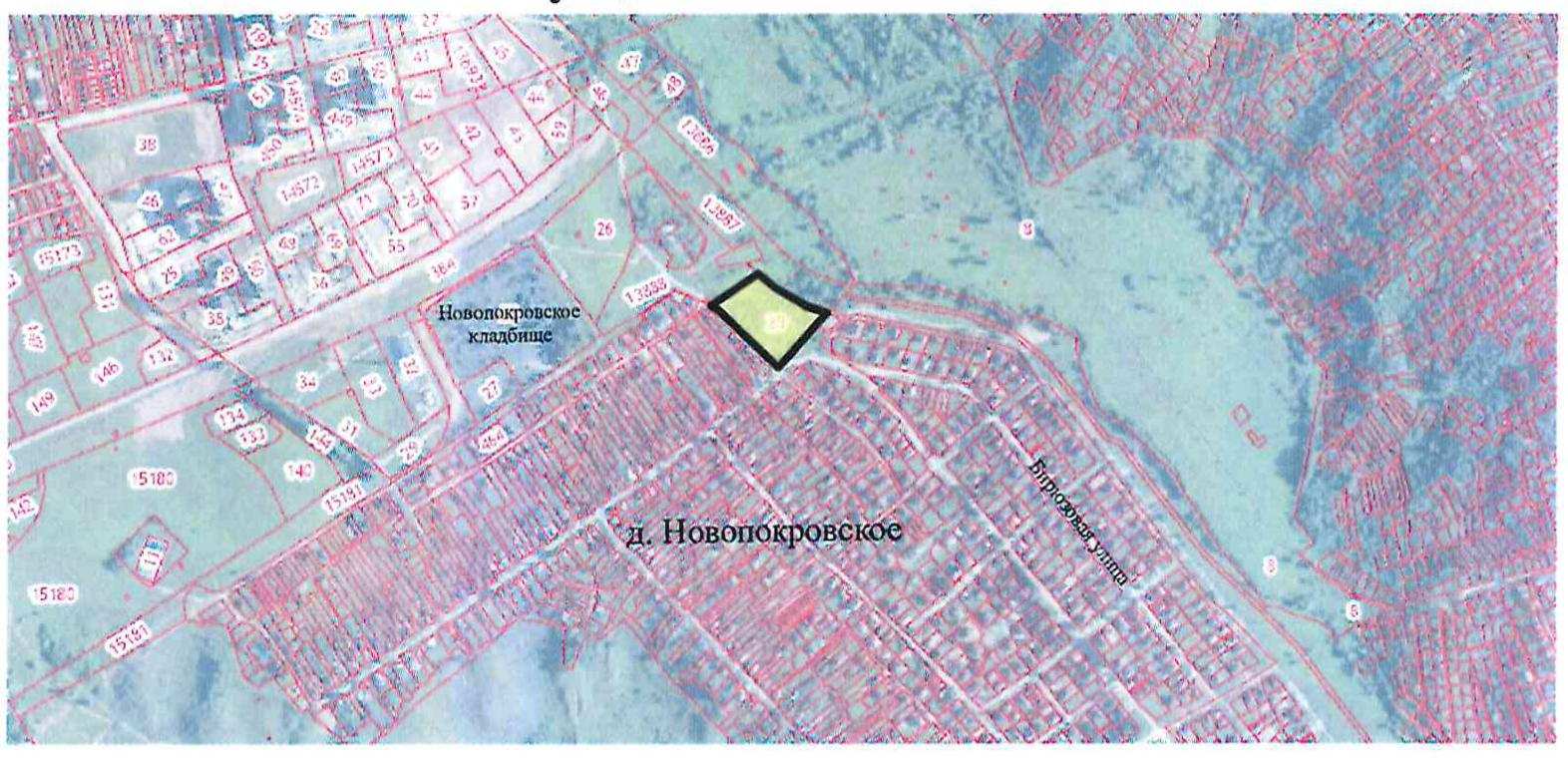 Проект здоровое будущее нижний новгород - 97 фото