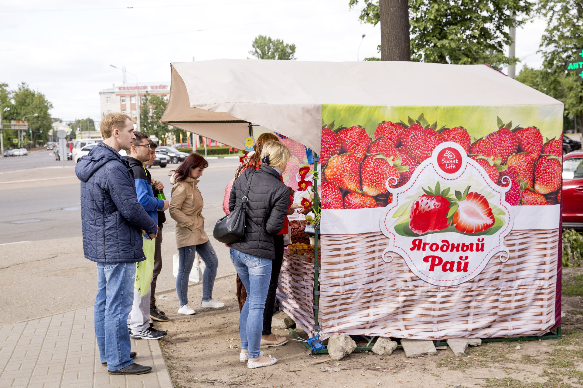 Карта палаток с клубникой