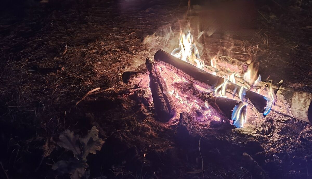 Юристы рассказали, за что дачники могут получить штраф в 2026 году - фото 2