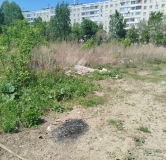 Ход строительства дома 9 в ЖК Расцветай на Зорге -
