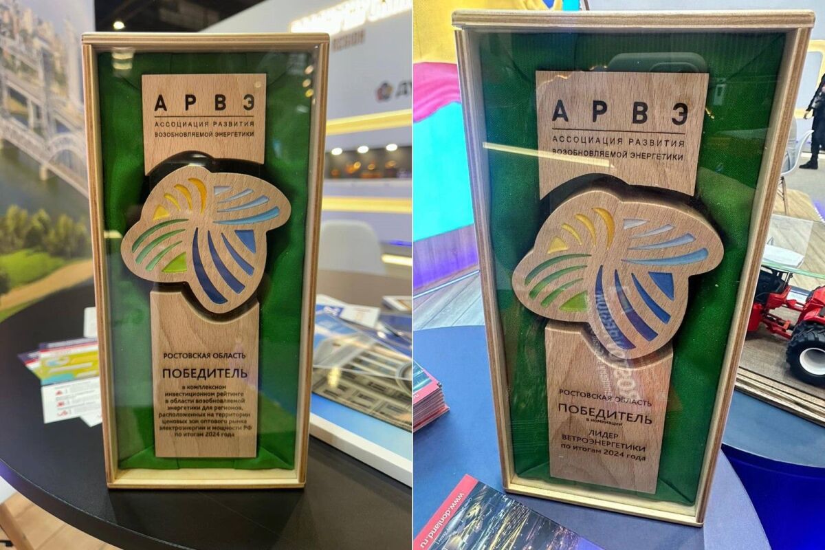 Донской регион возглавил рейтинг АРВЭ по развитию возобновляемой энергетики - фото 1